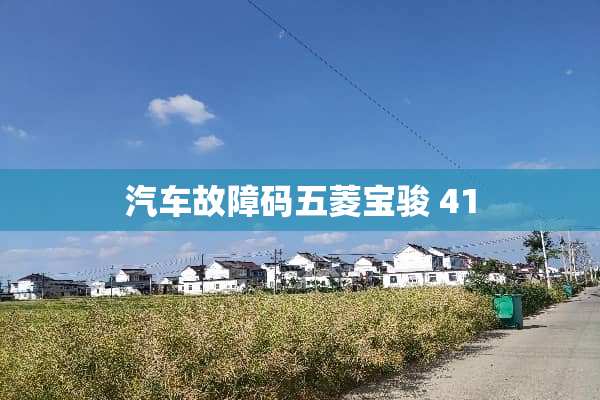 汽车故障码五菱宝骏 41
