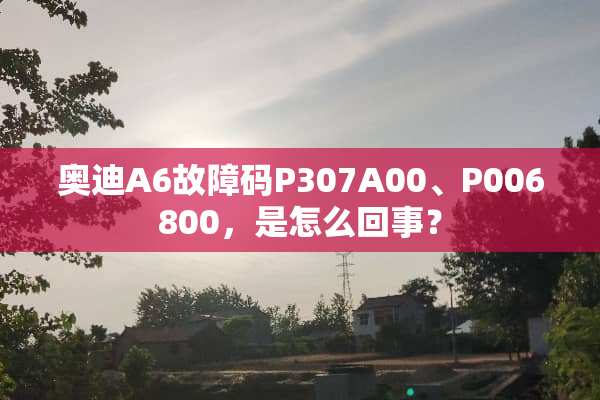 奥迪A6故障码P307A00、P006800，是怎么回事？