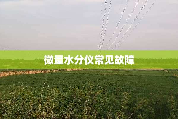 微量水分仪常见故障