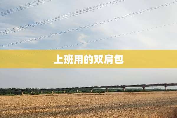 上班用的双肩包
