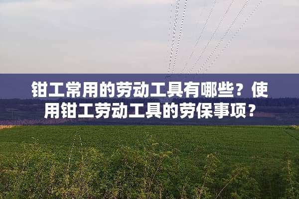 钳工常用的劳动工具有哪些？使用钳工劳动工具的劳保事项？