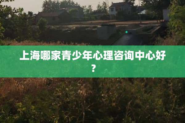 上海哪家青少年心理咨询中心好？