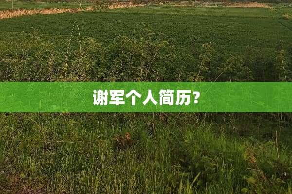 谢军个人简历？