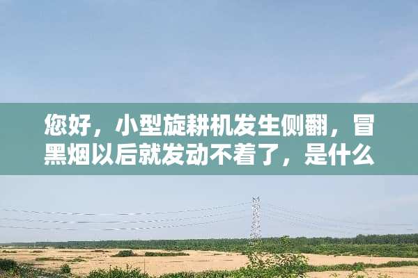 您好，小型旋耕机发生侧翻，冒黑烟以后就发动不着了，是什么原因？