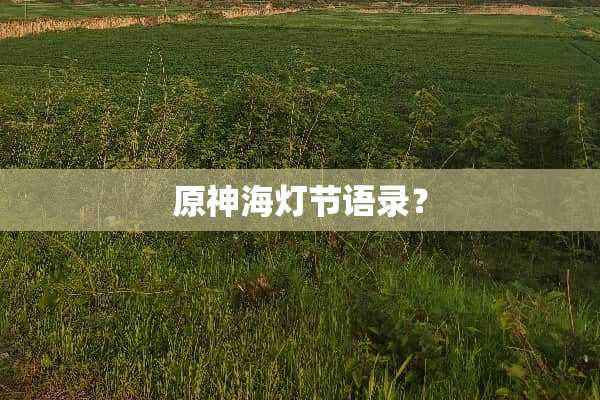 原神海灯节语录？
