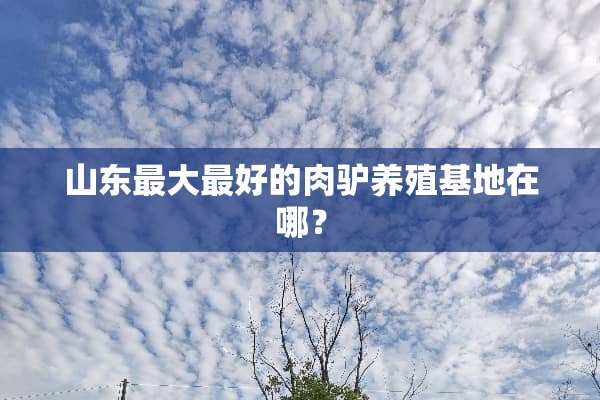 山东最大最好的肉驴养殖基地在哪？