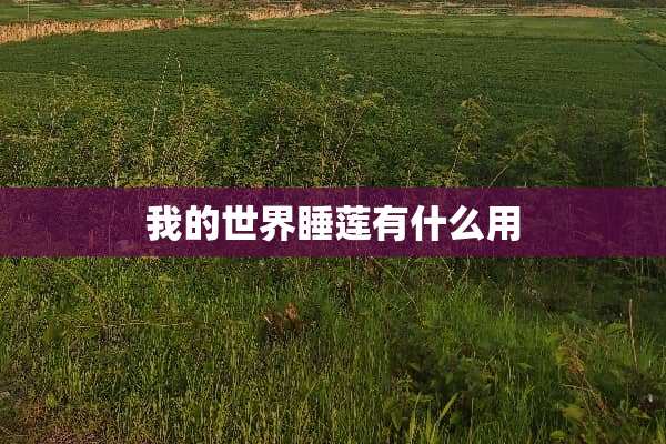 我的世界睡莲有什么用