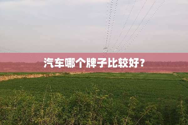 汽车哪个牌子比较好？