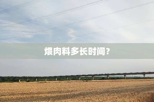 煨肉料多长时间？