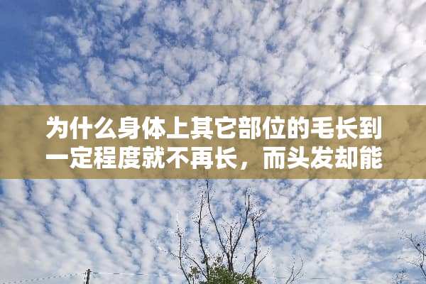 为什么身体上其它部位的毛长到一定程度就不再长，而头发却能不断长长？