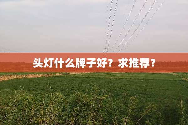 头灯什么牌子好？求推荐？