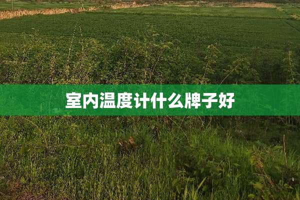 室内温度计什么牌子好