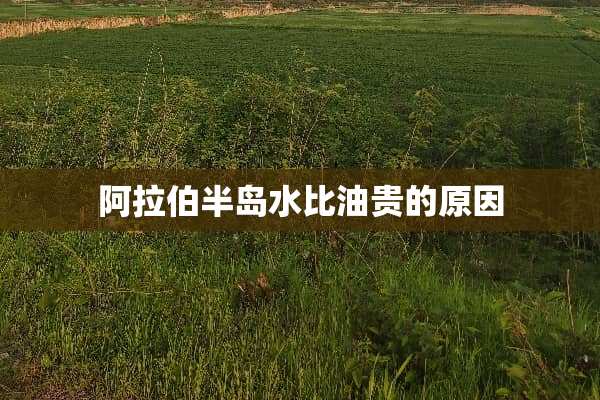 阿拉伯半岛水比油贵的原因