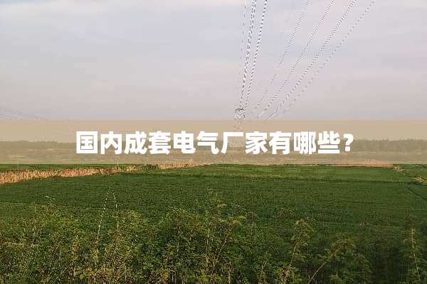 国内成套电气厂家有哪些？