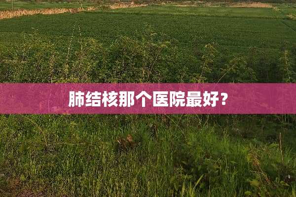 肺结核那个医院最好？