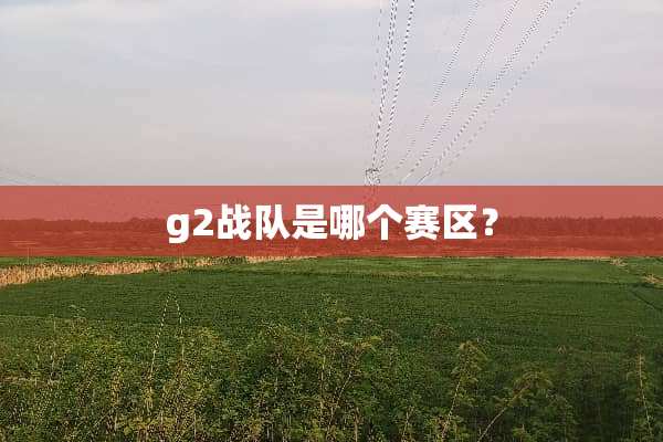 g2战队是哪个赛区？
