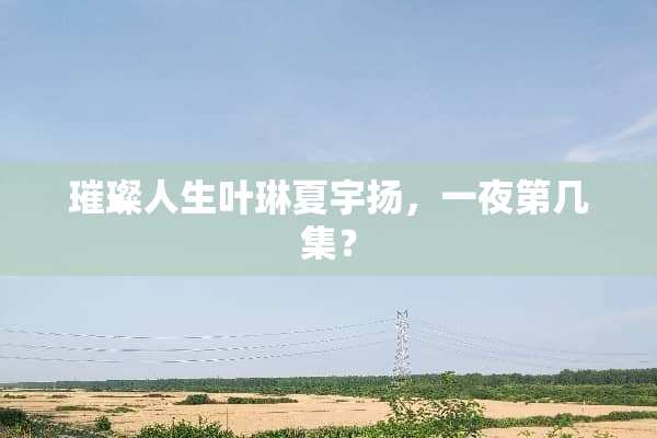 璀璨人生叶琳夏宇扬，**第几集？