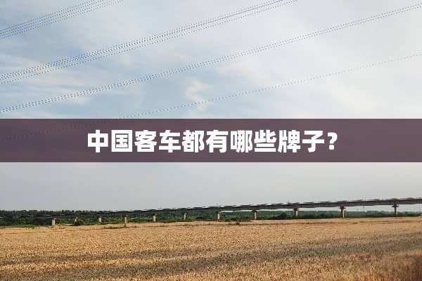 中国客车都有哪些牌子？