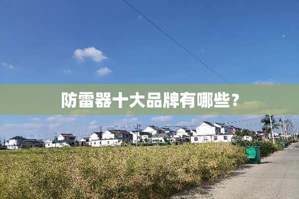 防雷器十大品牌有哪些？