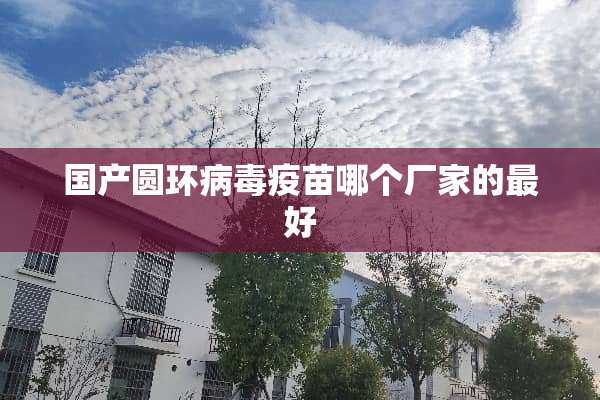 国产圆环****哪个厂家的最好