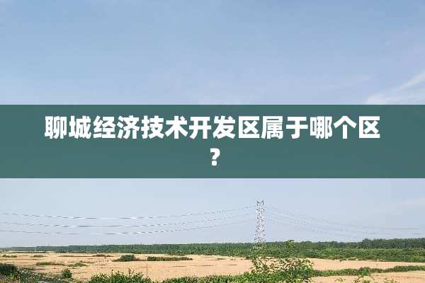 聊城经济技术开发区属于哪个区？