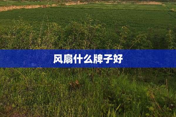 风扇什么牌子好