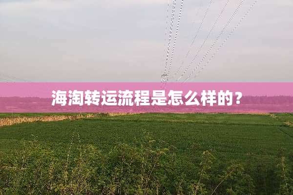 海淘转运流程是怎么样的？