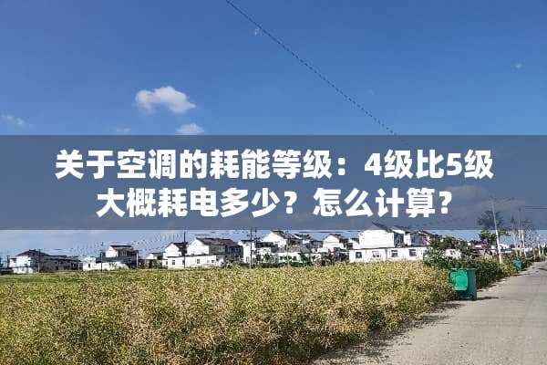 关于空调的耗能等级：4级比5级大概耗电多少？怎么计算？