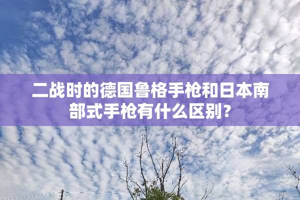 二战时的德国鲁格手*和日本南部式手*有什么区别？
