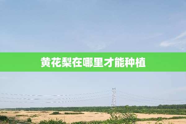 黄花梨在哪里才能种植