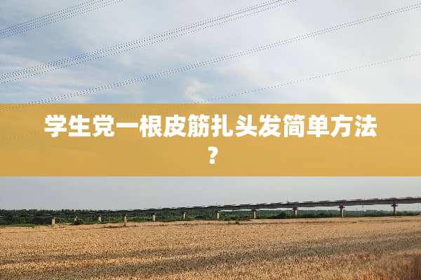 学生党一根皮筋扎头发简单方法？