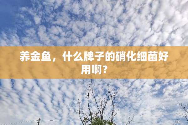 养金鱼，什么牌子的硝化细菌好用啊？