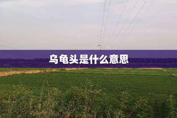乌**是什么意思