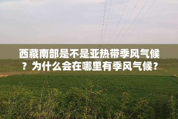 西藏南部是不是**带季风气候？为什么会在哪里有季风气候？