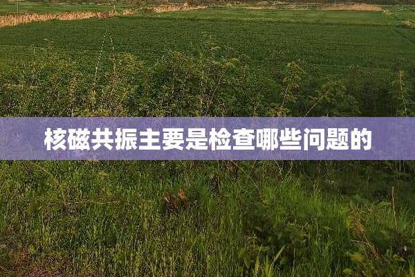 核磁共振主要是检查哪些问题的