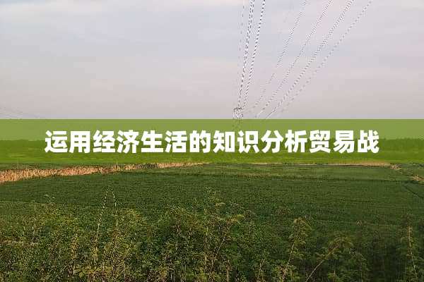 运用经济生活的知识分析贸易战