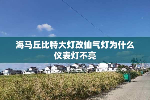 海马丘比特大灯改仙气灯为什么仪表灯不亮