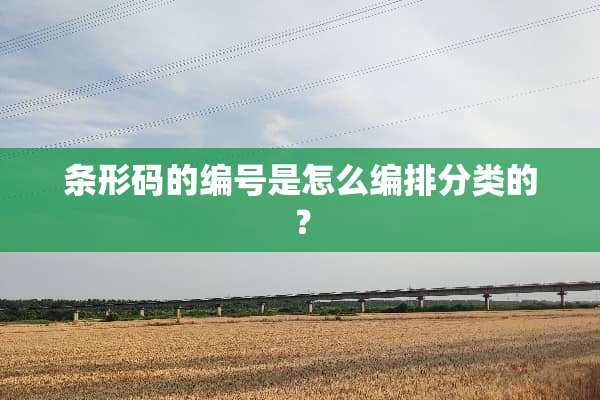 条形码的编号是怎么编排分类的？