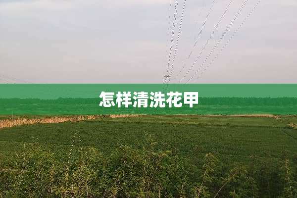 怎样清洗花甲