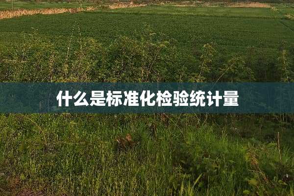 什么是标准化检验统计量