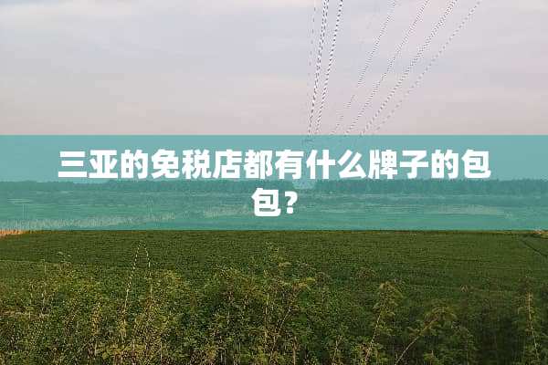 三亚的免税店都有什么牌子的包包？
