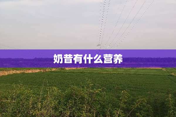 奶昔有什么营养