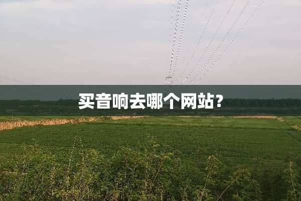 买音响去哪个网站？