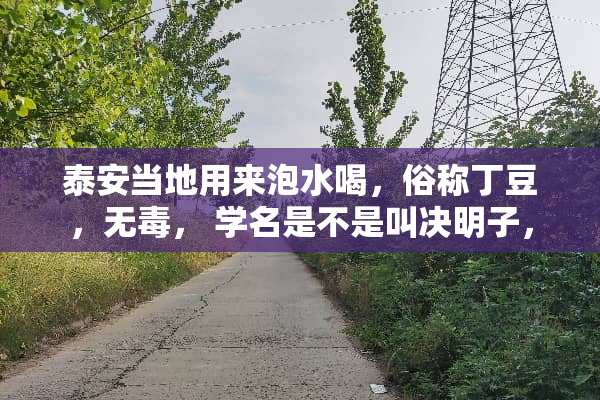 泰安当地用来泡水喝，俗称丁豆，无毒， 学名是不是叫决明子，