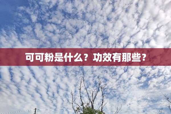 可可粉是什么？功效有那些？