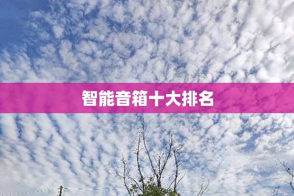 智能音箱十大排名