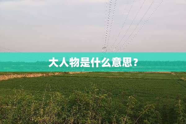 大人物是什么意思？