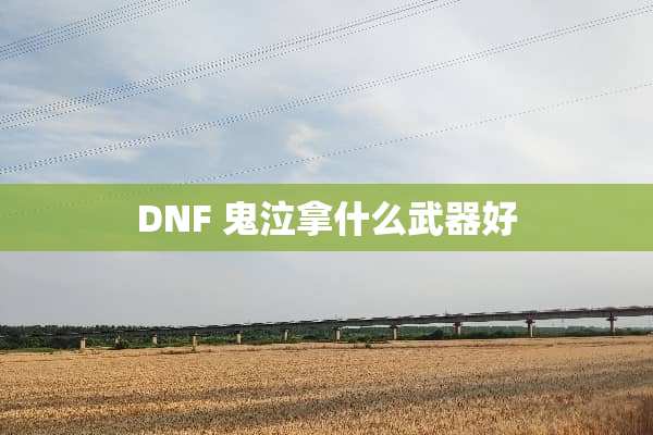 DNF 鬼泣拿什么**好