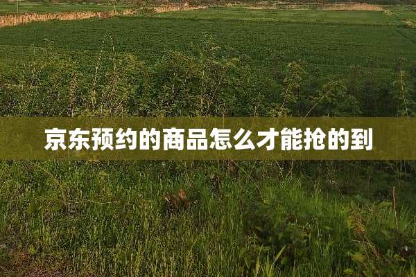京东预约的商品怎么才能抢的到