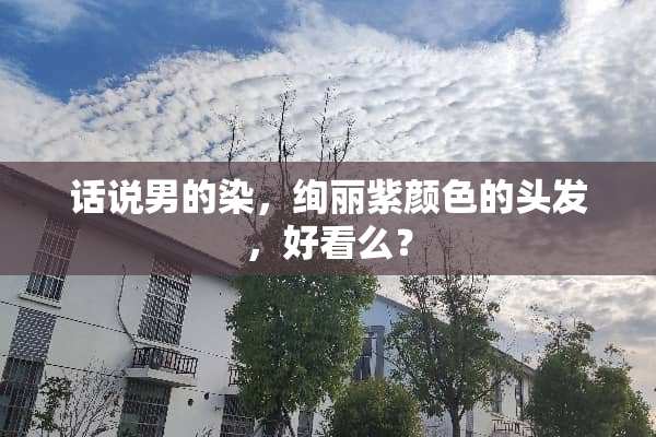 话说男的染，绚丽紫颜色的头发，好看么？